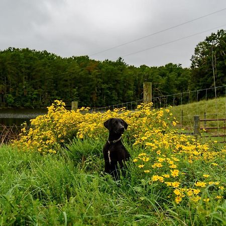 Ararat Wolf Creek Farm B&B And Motorcycle Manor At Wolf Creek Farm, Llc المظهر الخارجي الصورة