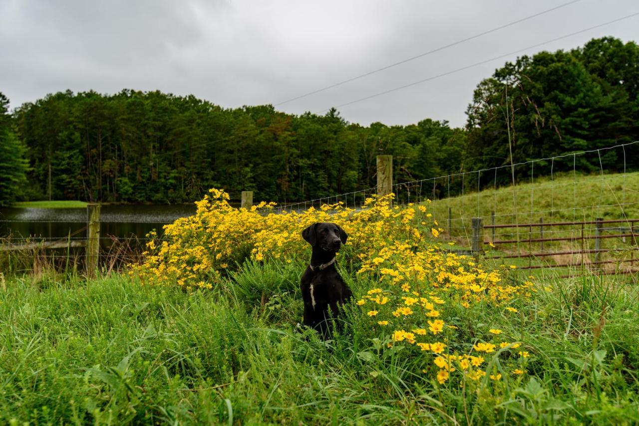 Ararat Wolf Creek Farm B&B And Motorcycle Manor At Wolf Creek Farm, Llc المظهر الخارجي الصورة